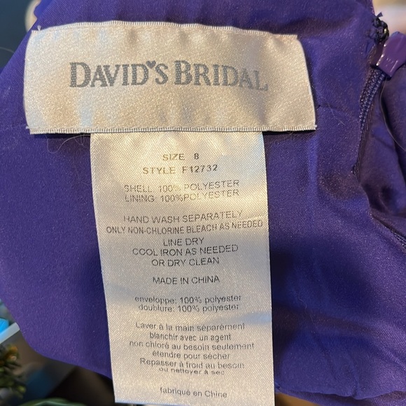 David’s Bridal Chiffon and Charmeuse Dress
STYLE# F12732 - Picture 3 of 7